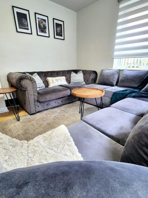 שפילד Home From Home 3 Bed,2 Bath House With Garden&Parking Near Centre&Tram Stop מראה חיצוני תמונה
